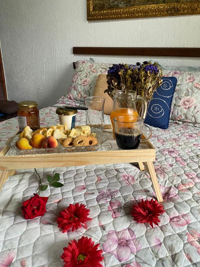 Hospedagem Recanto Das Orquideas クアチス エクステリア 写真